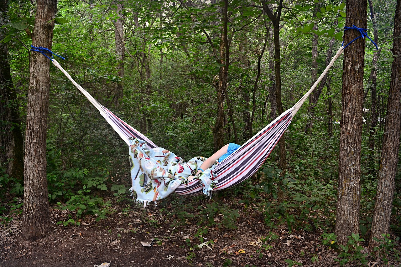 Image - labor day camping summer hammock