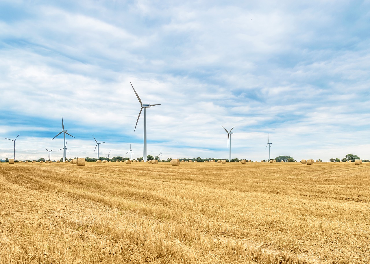 Image - cornfield harvest wind power plant