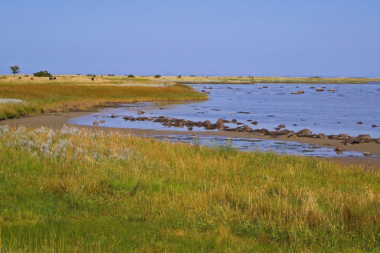 Image - denmark danish coast island