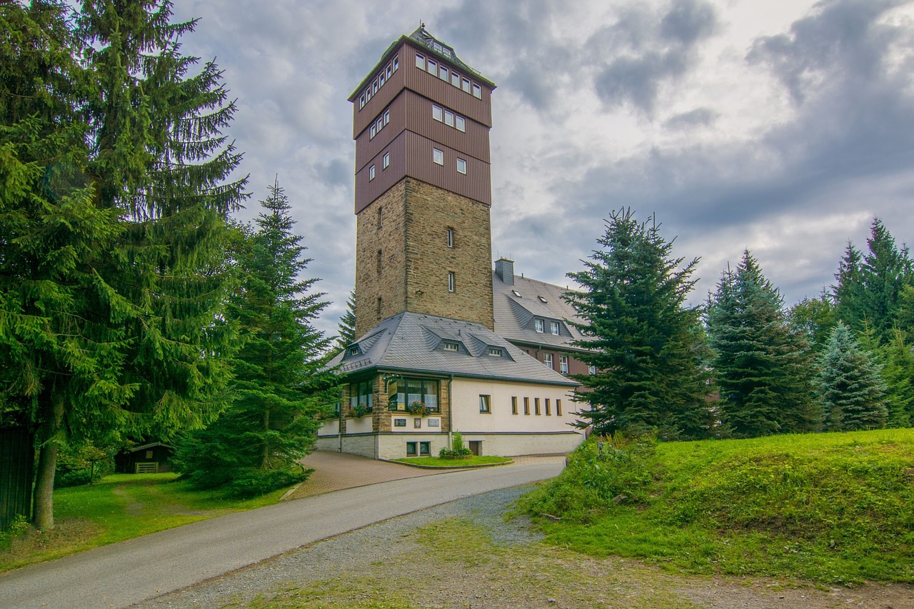 Image - saxony ore mountains bears stone