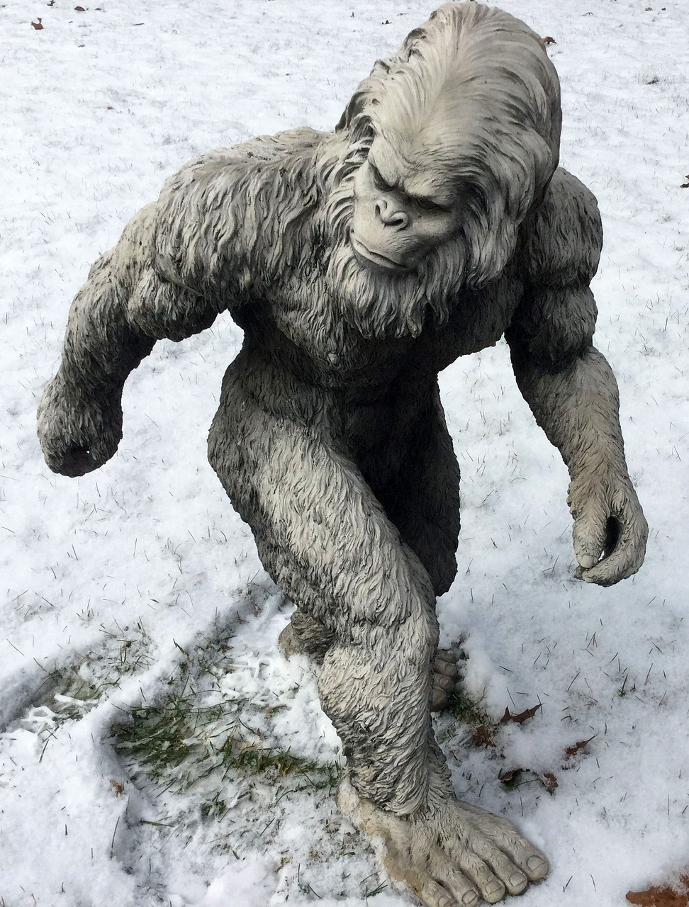 Image - bigfoot sasquatch yeti