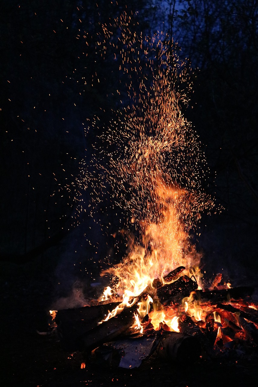 Image - night forest koster flame spark