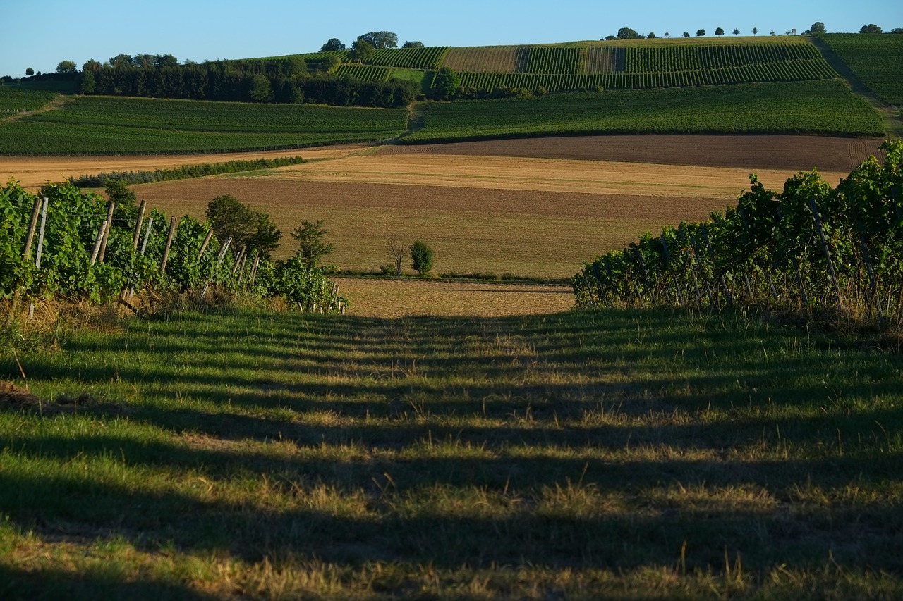 Image - lane landscape nature away outlook