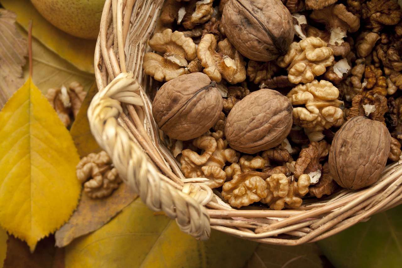 Image - nuts autumn basket forest life