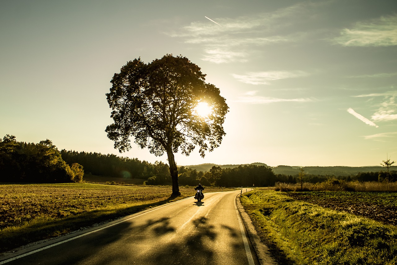 Image - motorcycle tree sunset evening sky