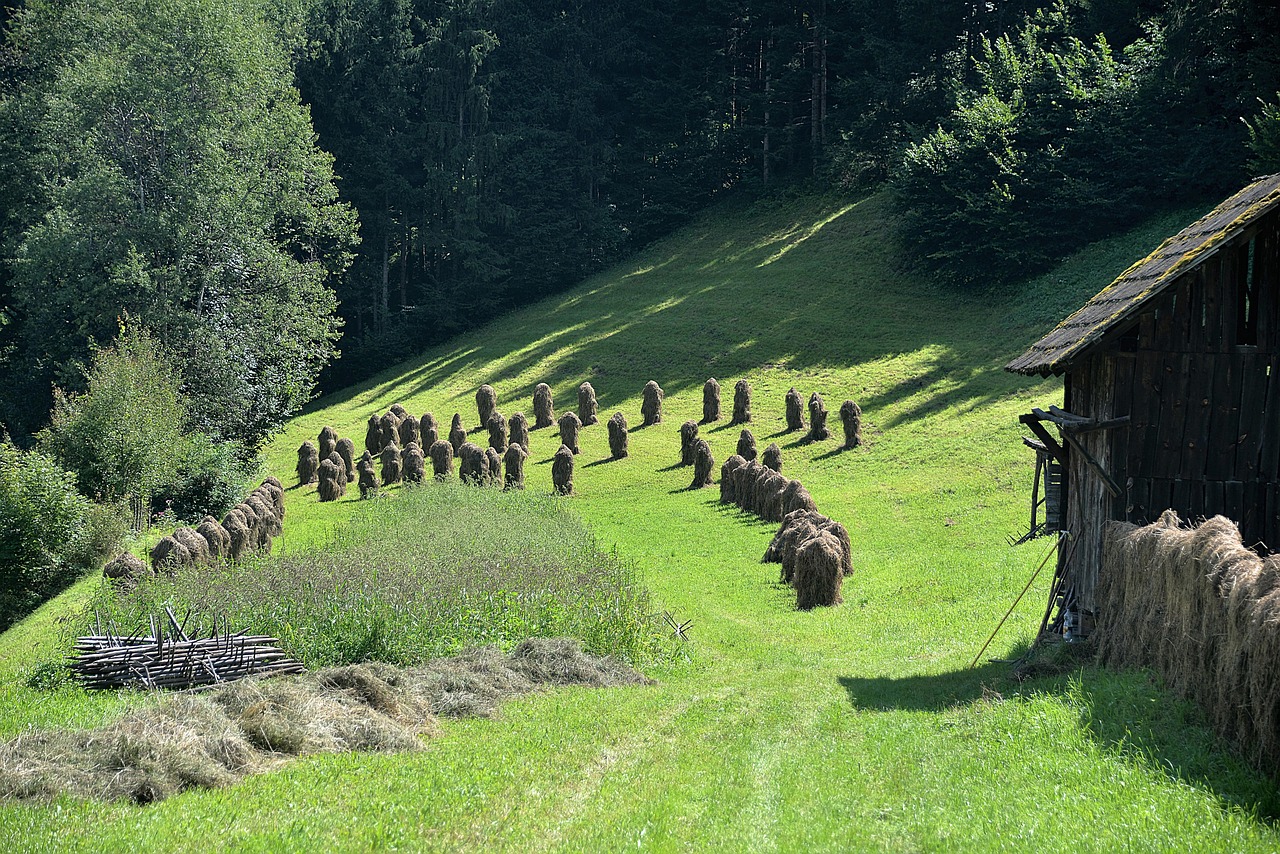 Image - hay meadow stadl agriculture