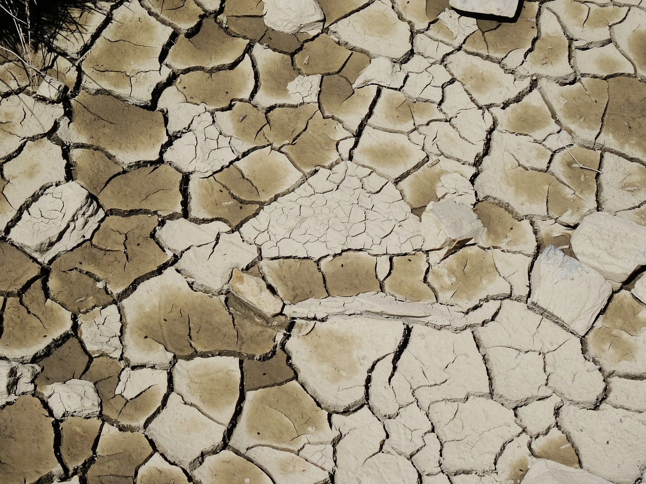 Image - drought mud cracked earth dry land