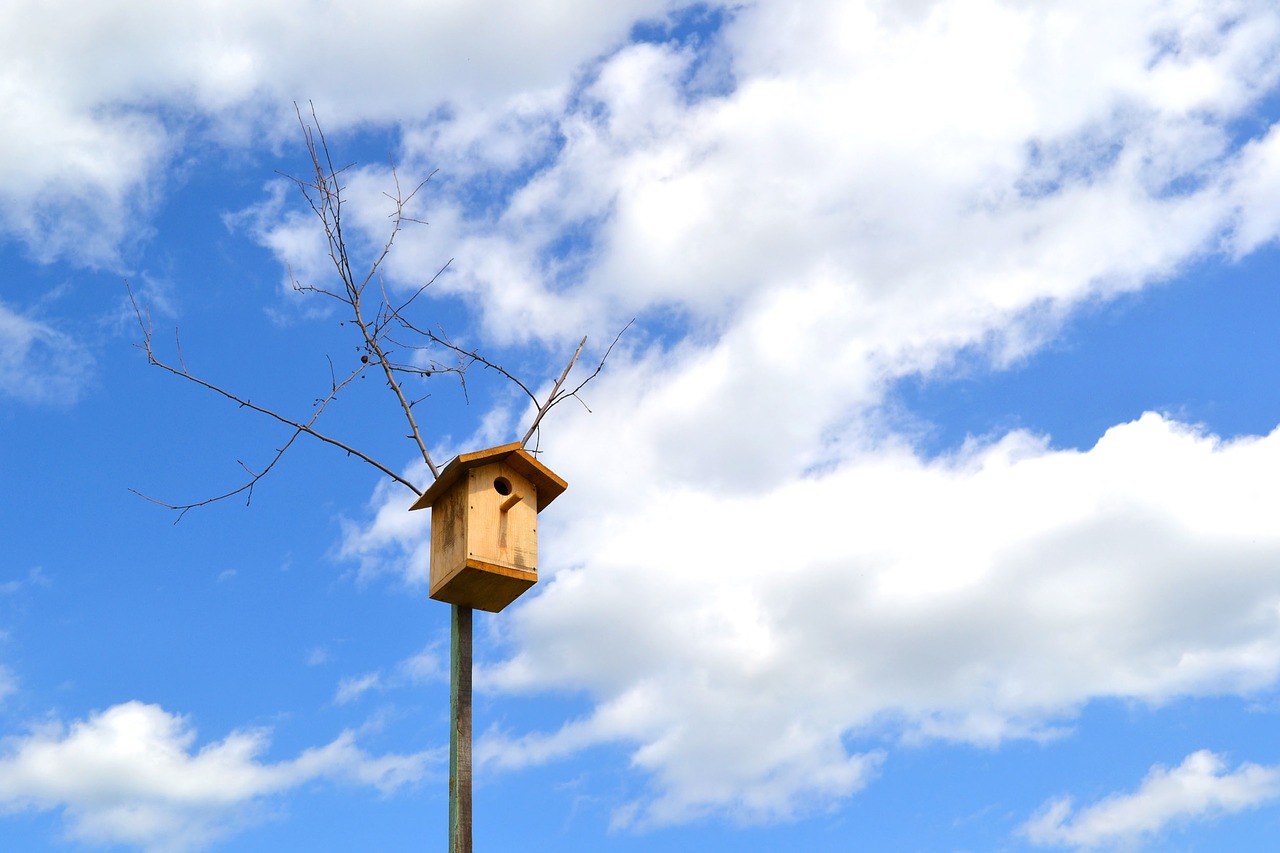 Image - birdhouse sky clouds