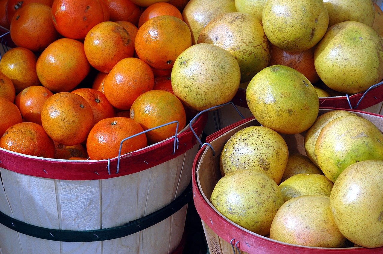 Image - fruit oranges grapefruit citrus