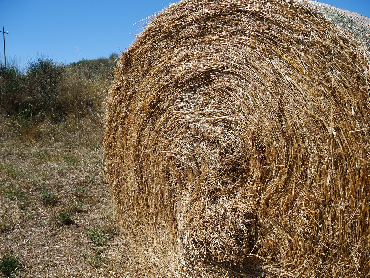 Image - hay feed role agriculture