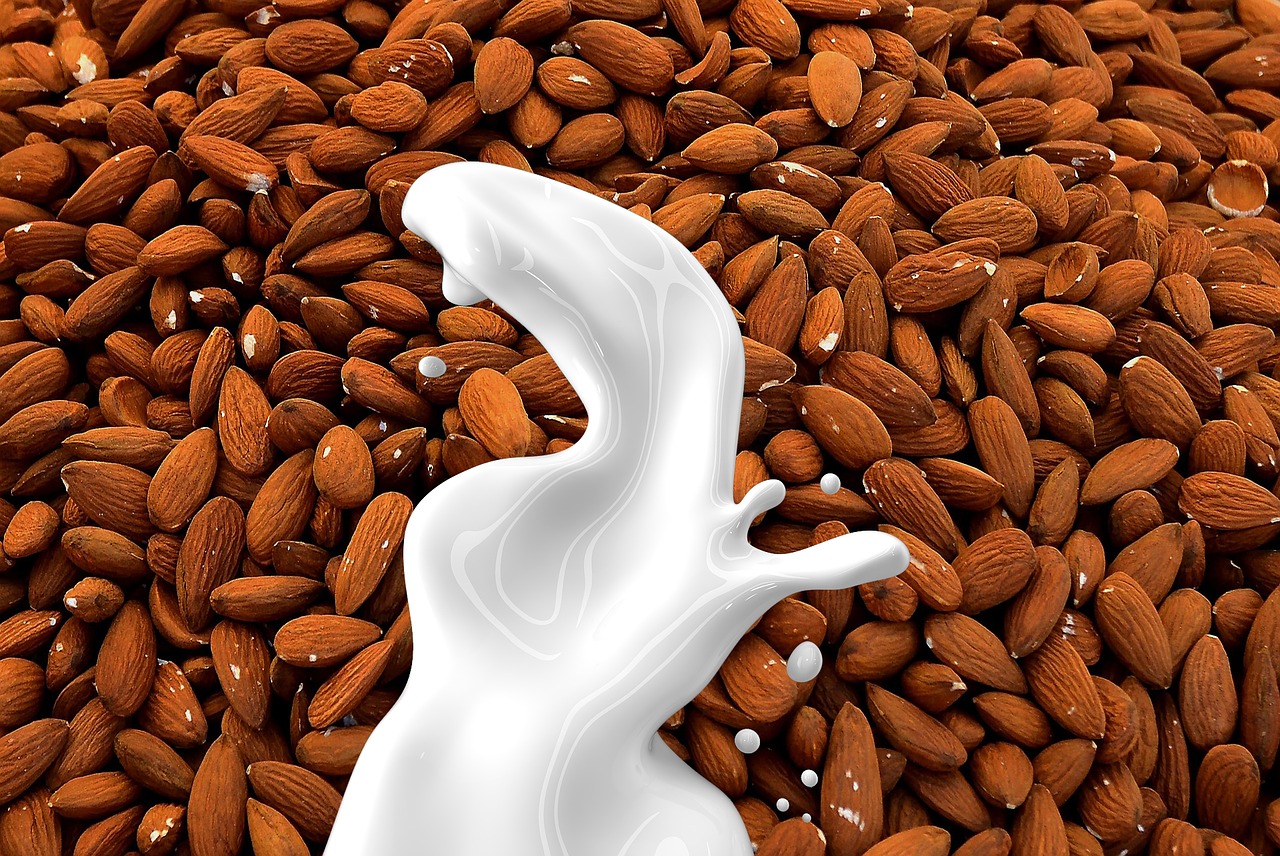 Image - almond milk milk nut milk non dairy