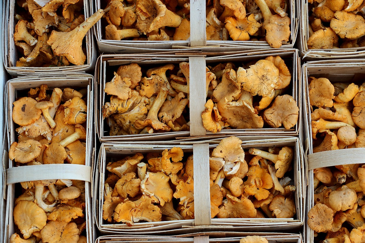 Image - mushrooms chanterelles market food