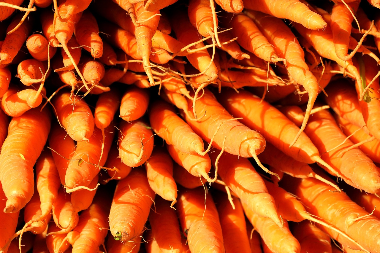 Image - carrots vegetables food nutrition