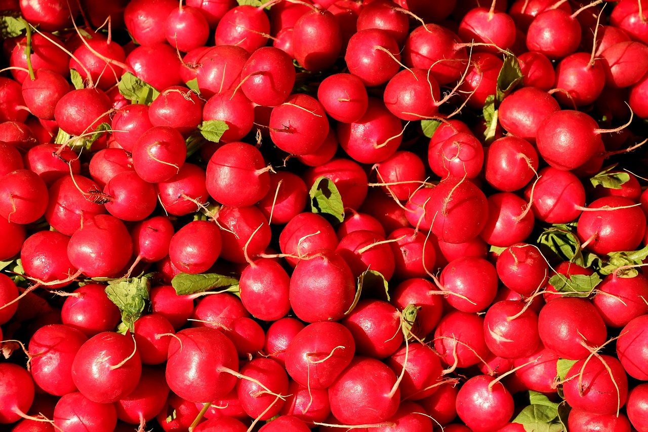 Image - radishes radish vegetables food