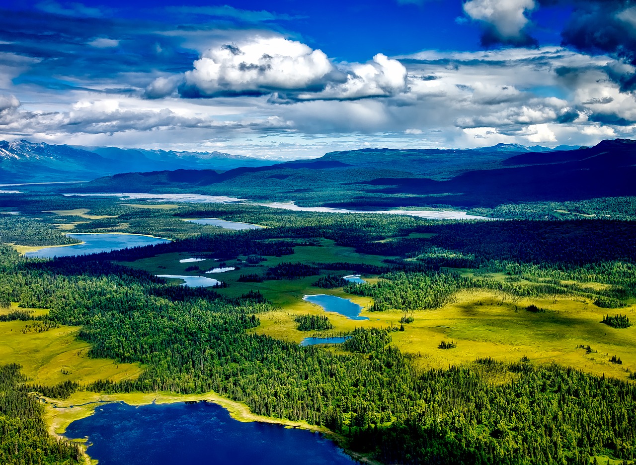 Image - denali national park alaska