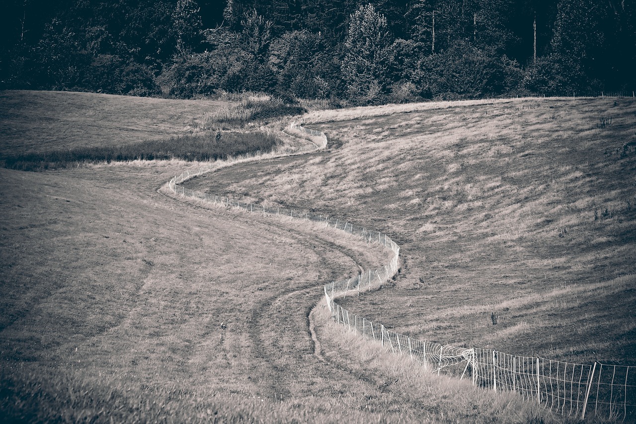 Image - landscape field nature fields