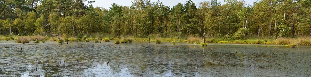Image - moor panorama pietz moor