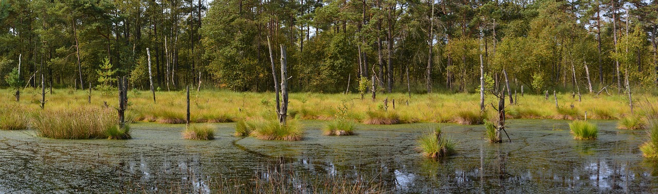 Image - moor panorama pietz moor