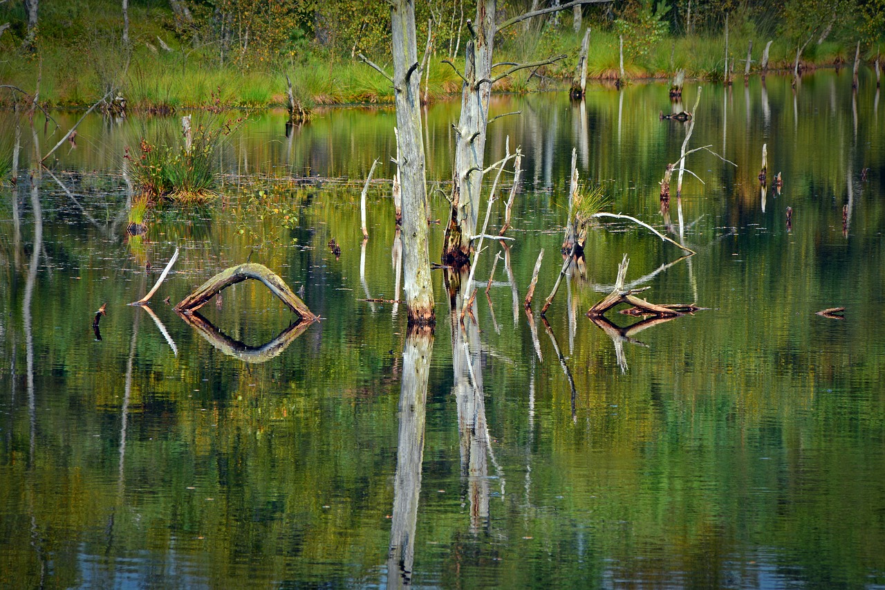 Image - moor mirroring water pietz moor