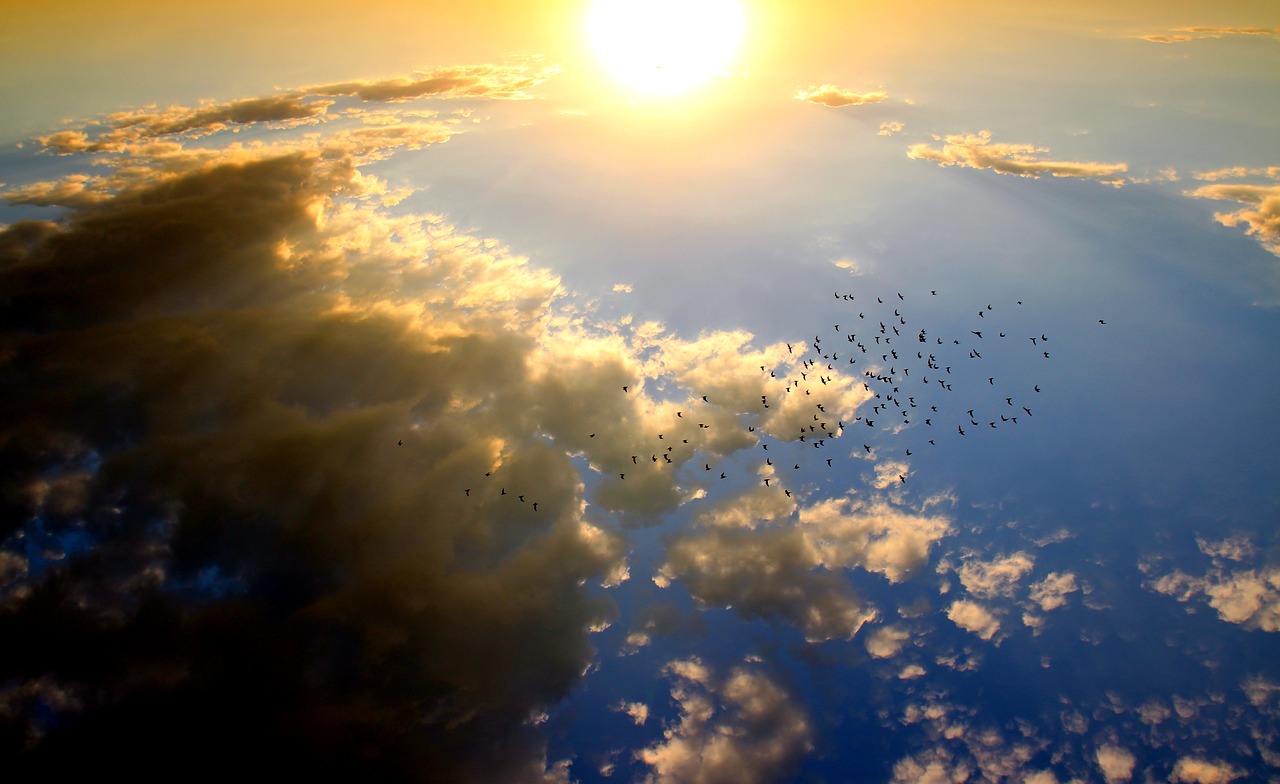 Image - sunset birds cloud sun sky red