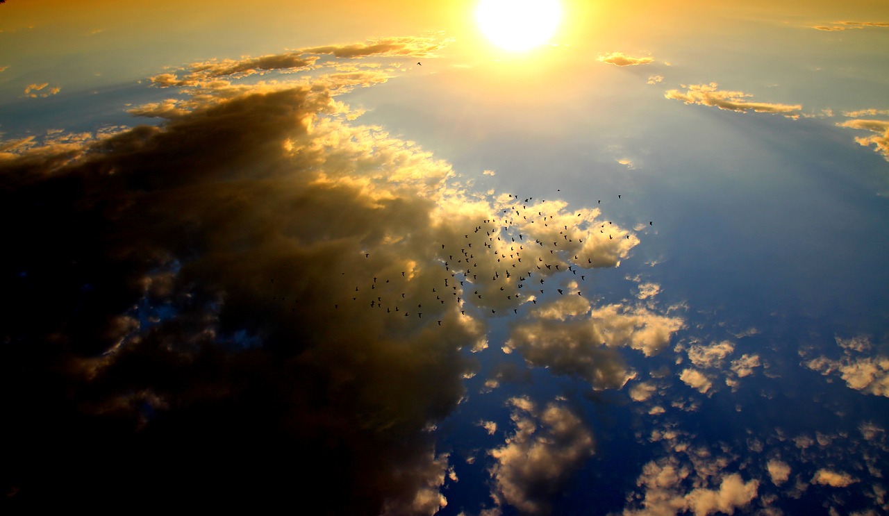 Image - sunset birds cloud sun sky red