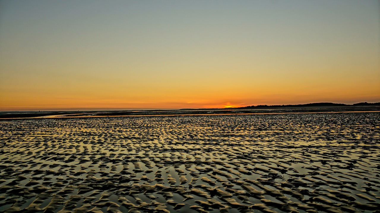 Image - sunset intertidal zone low tide ebb