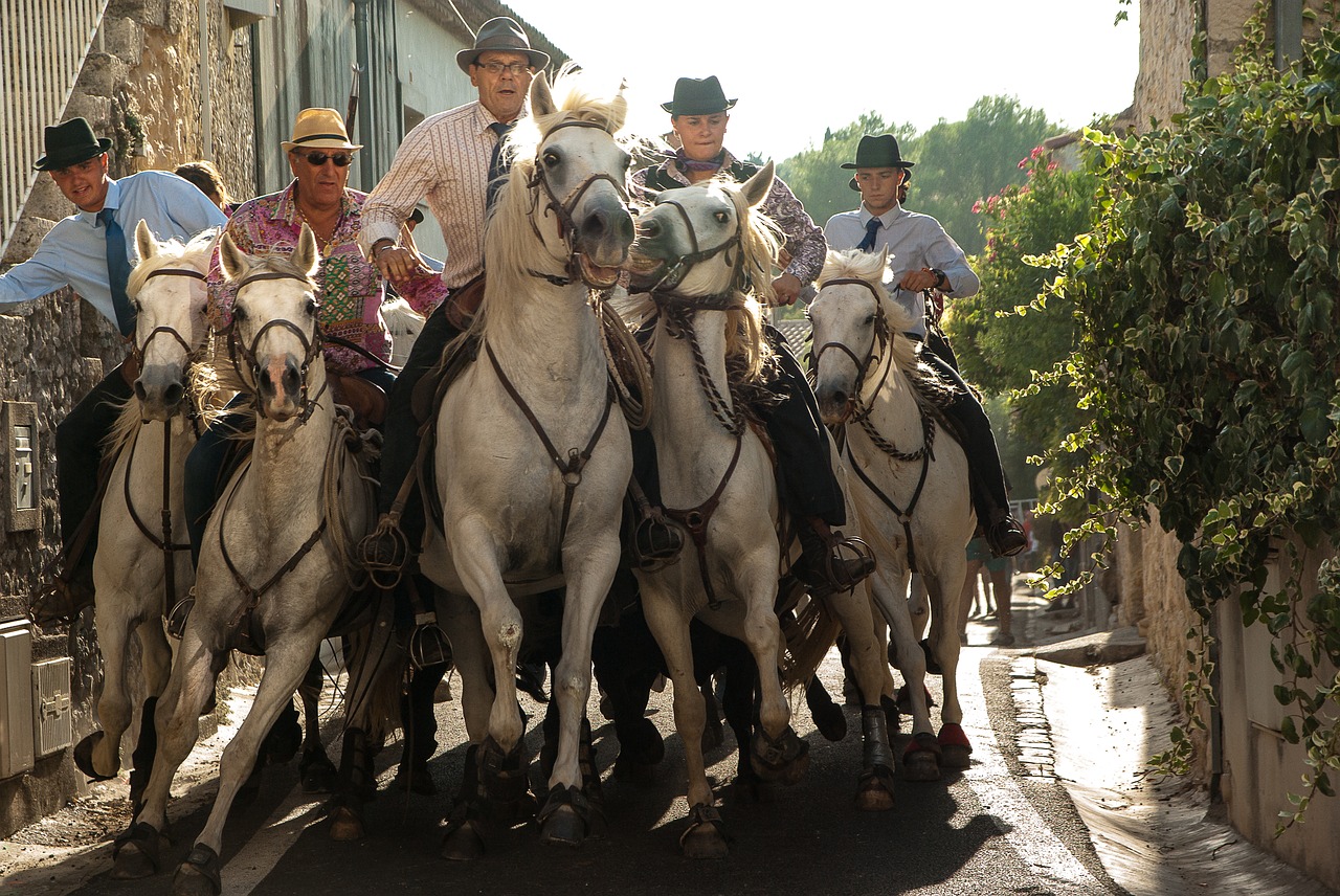 Image - camargue riders race bulls horses