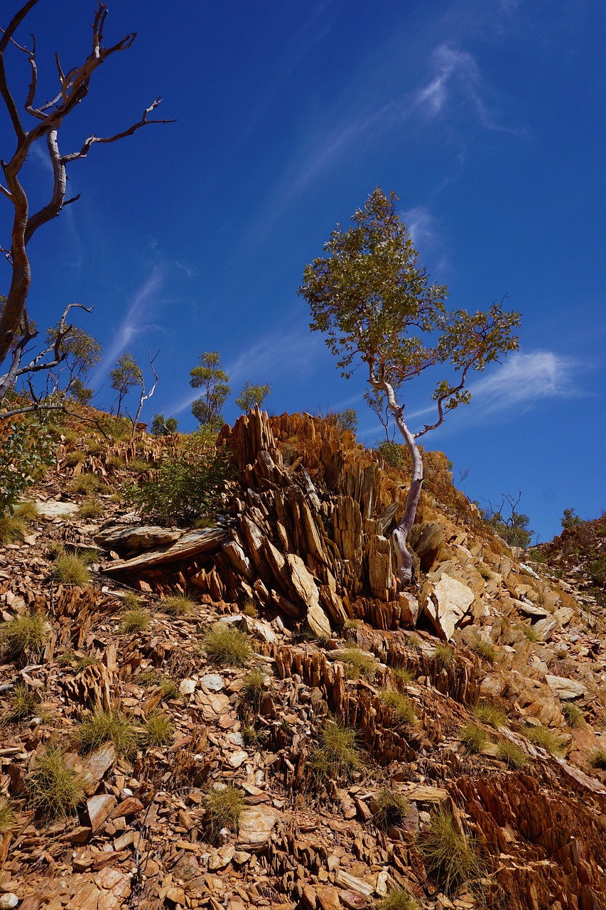 Image - mount isa queensland urquhart shale
