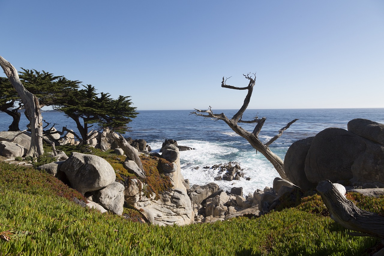 Image - pacific ocean shore rocks waves