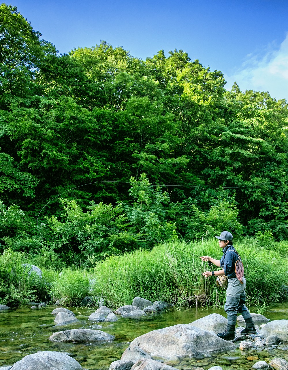 Image - fly fishing fishing fly gangwon do