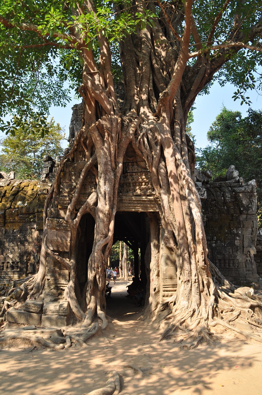 Image - angkor hinduism faces