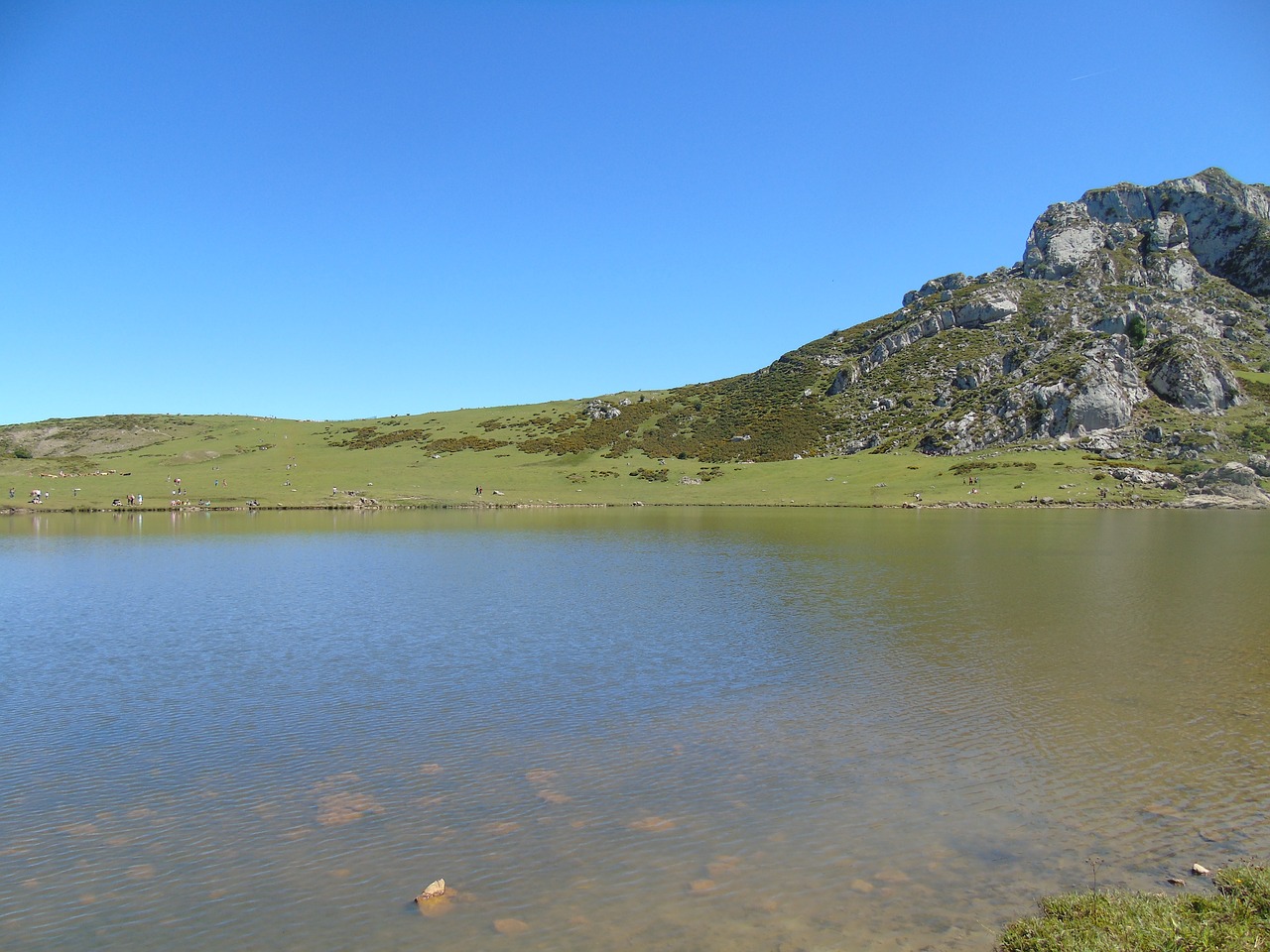 Image - picos de europa covadonga lakes