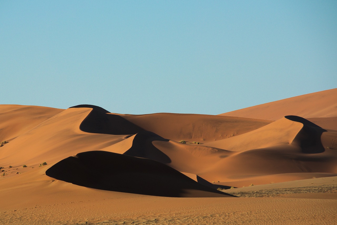 Image - desert sand namib dune