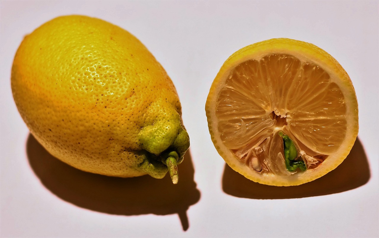 Image - lemons lemon keimling citrus fruits