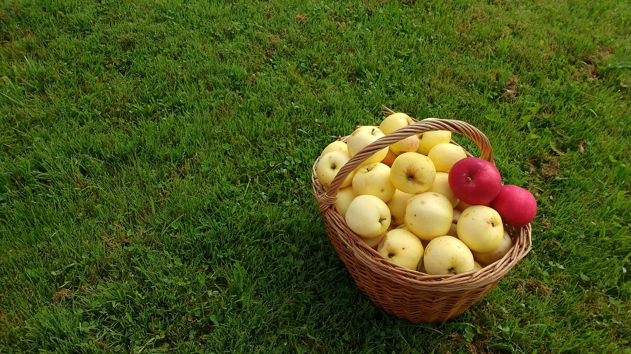 Image - grass basket apples fruit nature