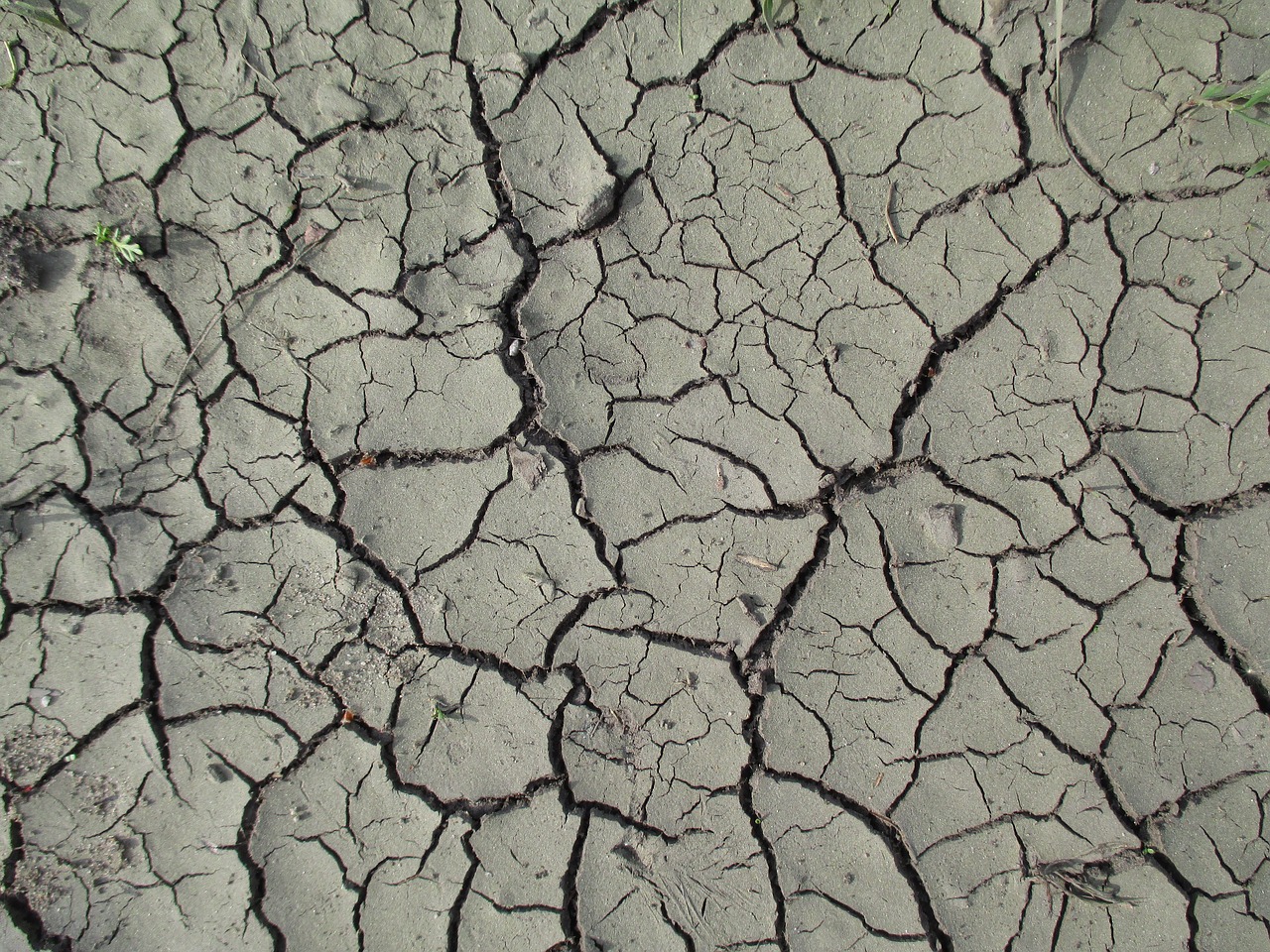 Image - texture nature mud trough river