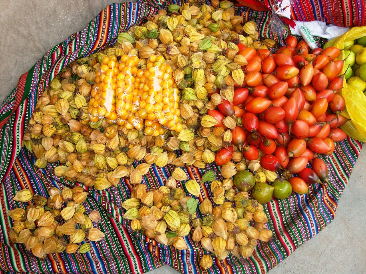 Image - biodiversidad cajamarca perú