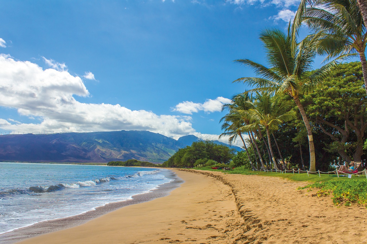 Image - beach landscape hawaii maui kihei