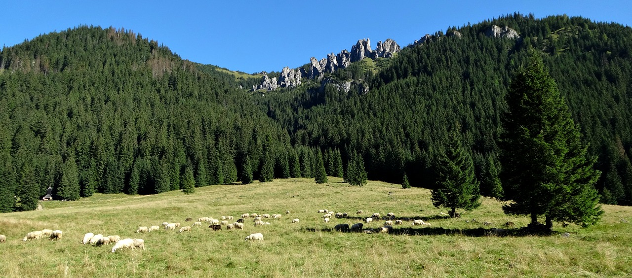 Image - western tatras mountains