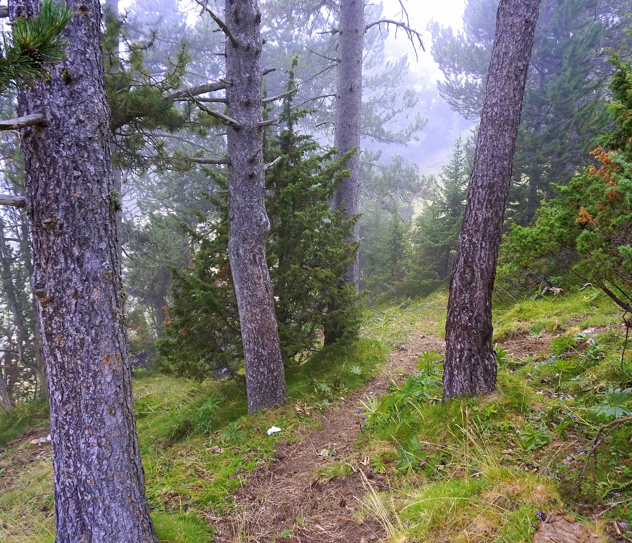 Image - trail mountain hiking mountain road