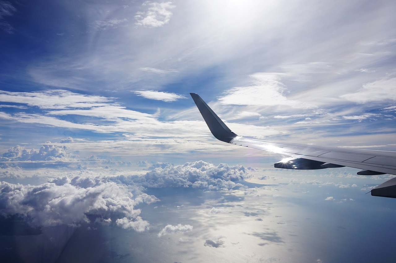 Image - sky airport flight wing