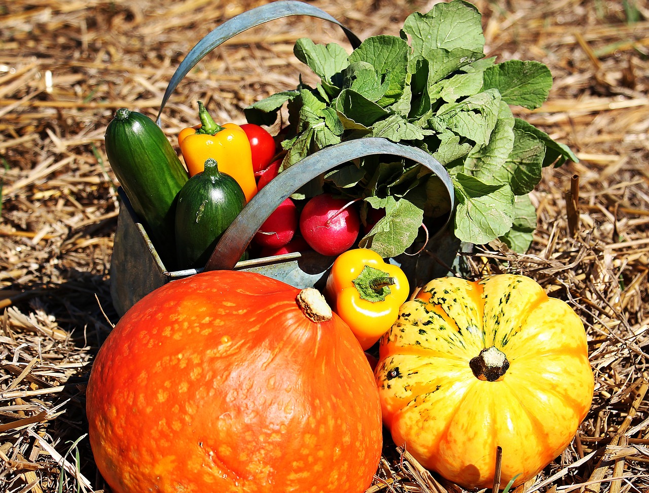 Image - thanksgiving pumpkins cucumbers