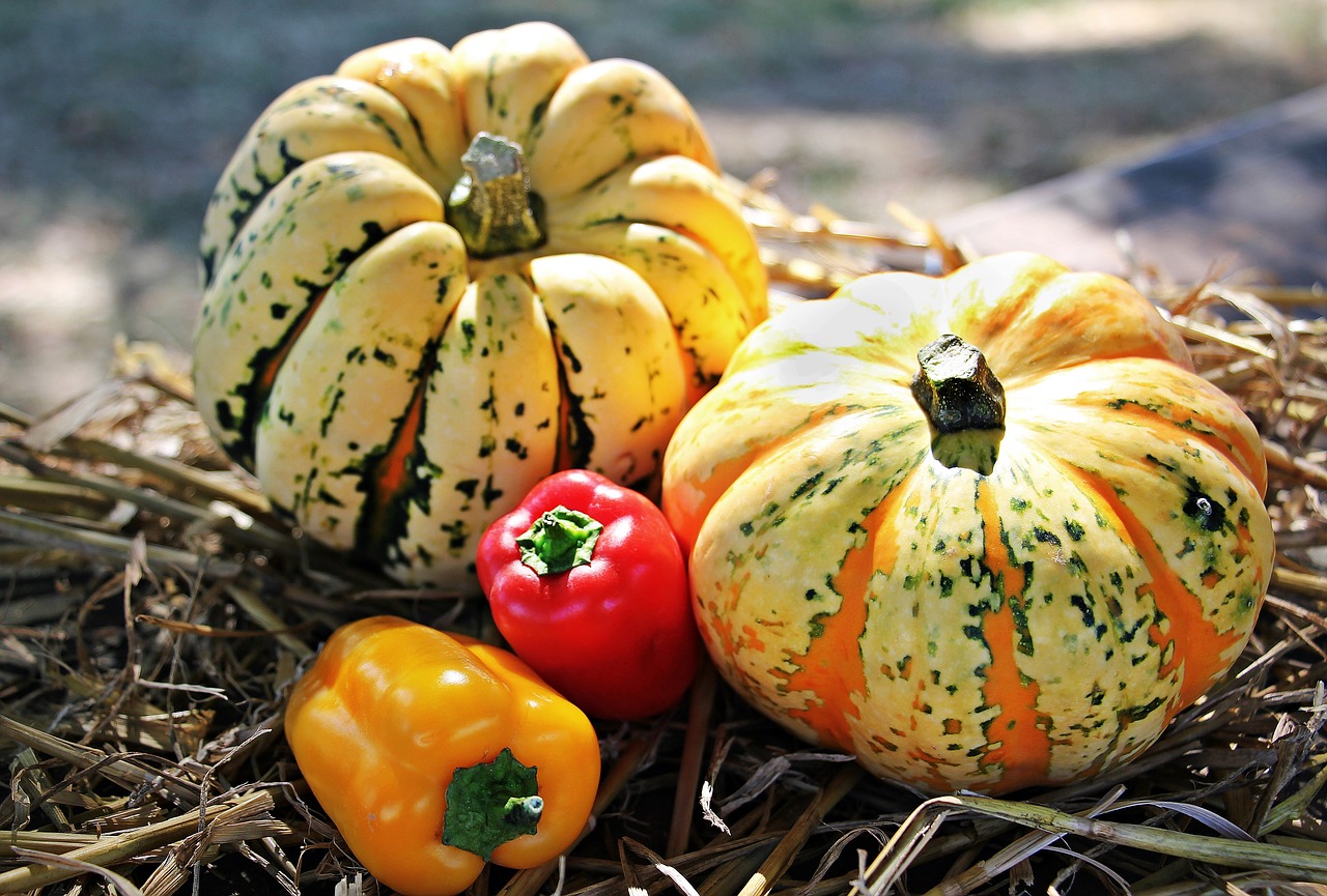 Image - thanksgiving pumpkins paprika