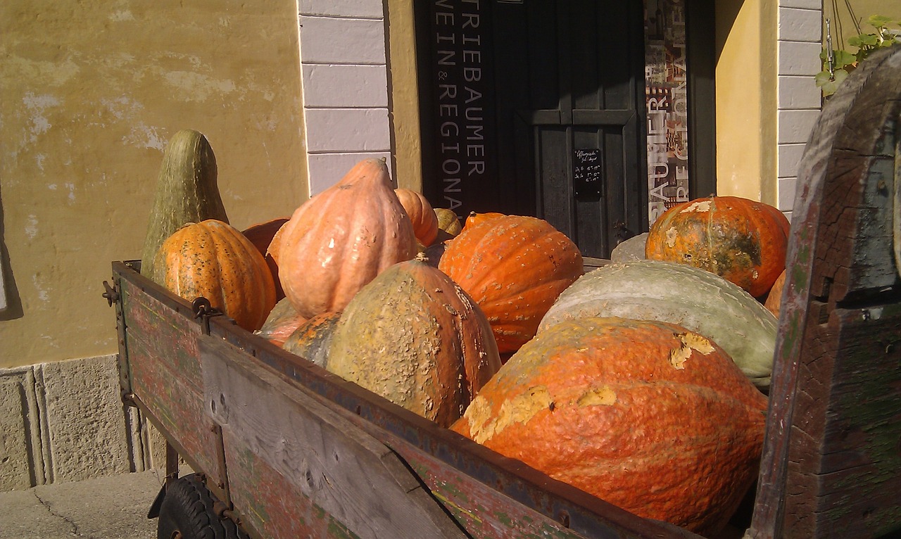 Image - pumpkin dare autumn