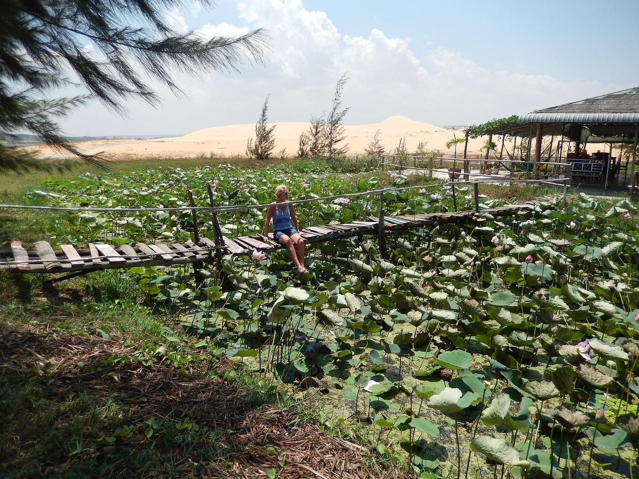 Image - vietnam summer muine