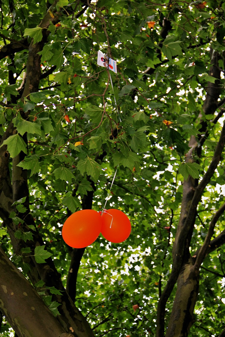 Image - stuck air balloon competition orange