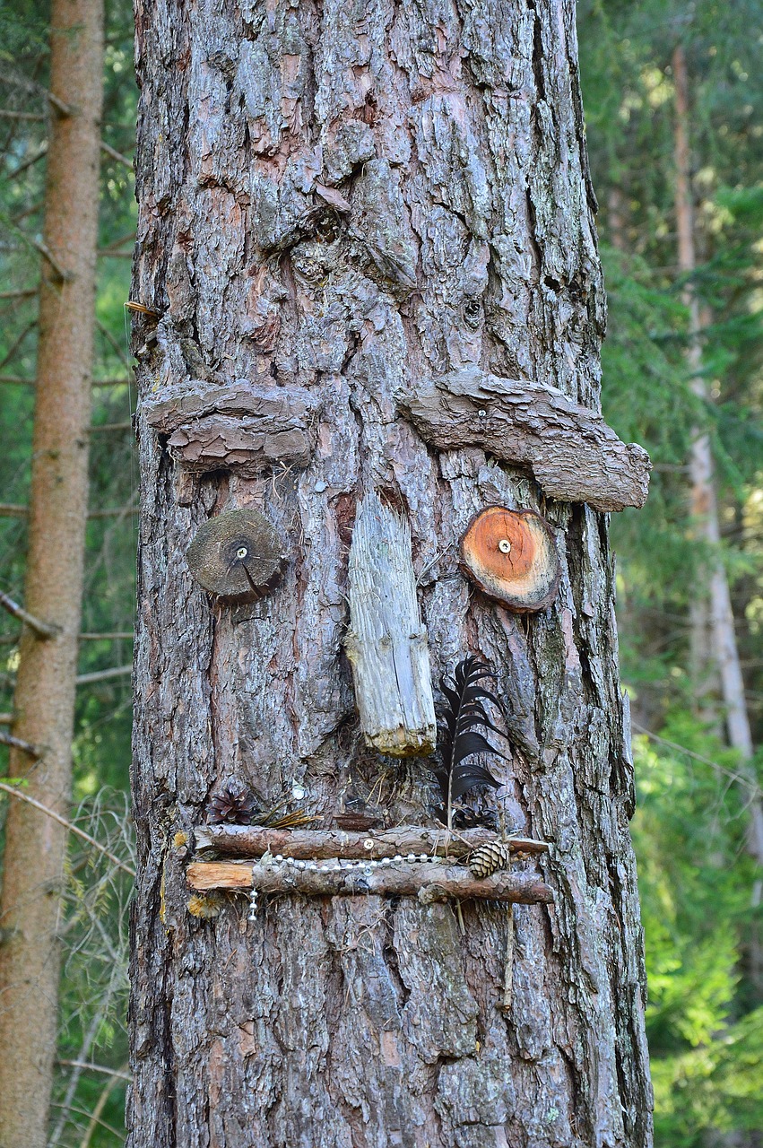 Image - wish tree tyrol austria sautens