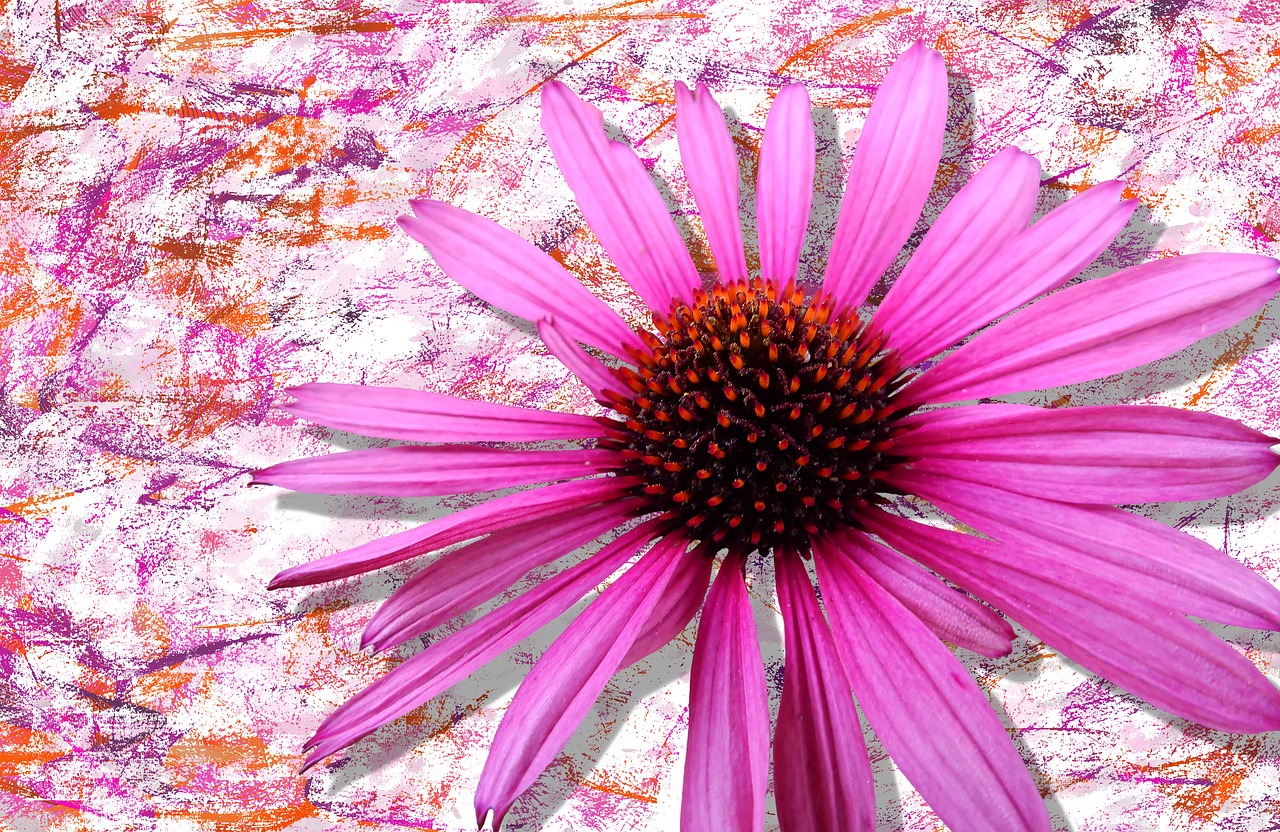 Image - flower blossom bloom plant nature