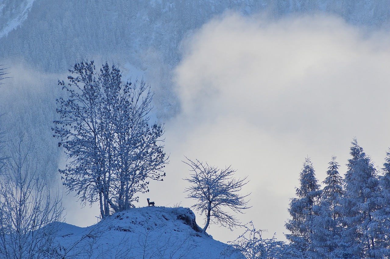 Image - winter snow haderlehn sautens