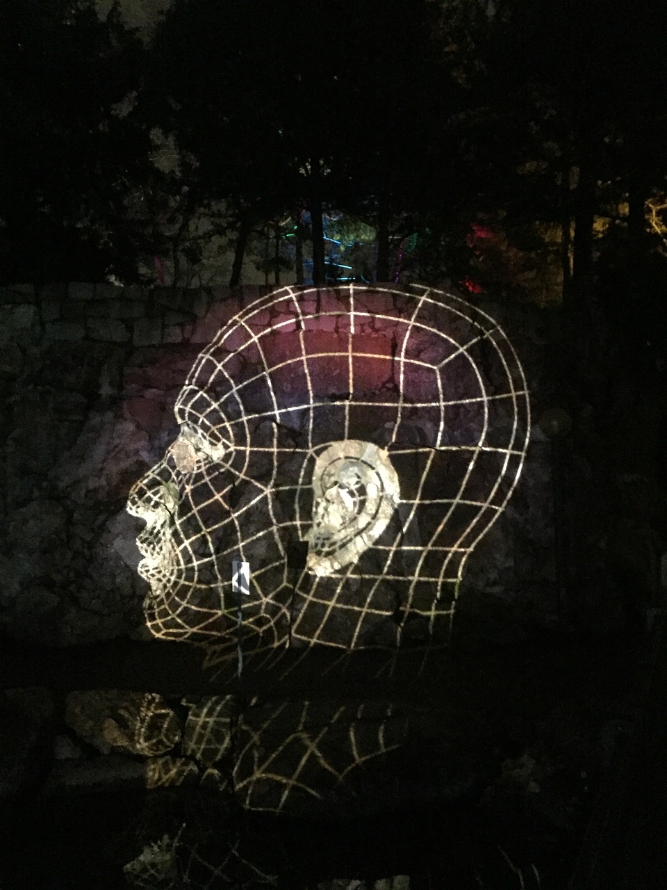 Image - head light skull structure night